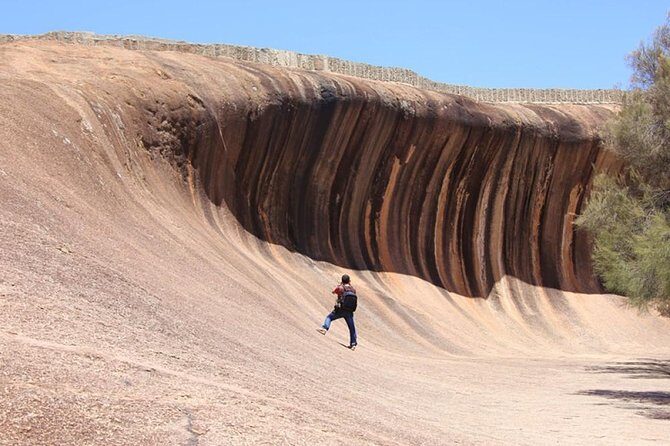 Wave Rock Half Day Air & Ground Tour - What You Can Expect from the Wave Rock Half Day Air & Ground Tour
