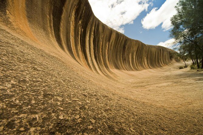 Wave Rock, York and Aboriginal Cultural Day Tour from Perth - A Deep Dive into the Experience