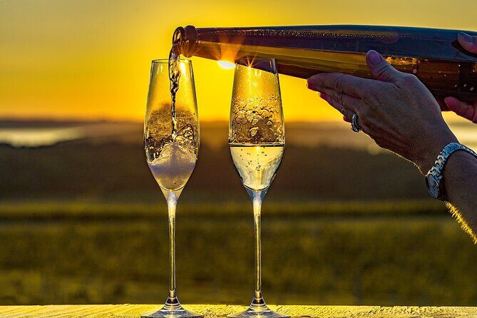 Wedding Anniversary Traverse City Old Mission Peninsula Wine Tour - Final Thoughts: Is It Right for You?