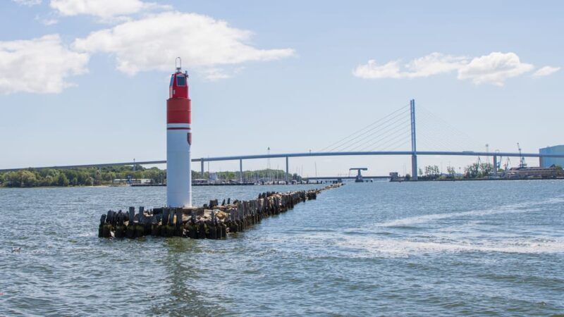 Wednesday Regatta with harbour tour - What the Reviews Say
