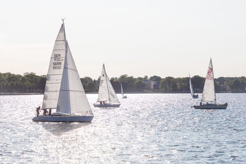 Wednesday Regatta with harbour tour - Who Should Consider This Tour?