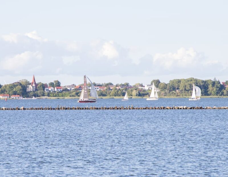 Wednesday Regatta with harbour tour - The Sum Up: The Best Fit for Authentic, Affordable Water Fun