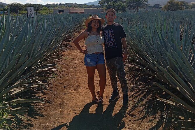 Weekend Entre to Charros Mariachi Tequila and Guachimontones - FAQ: Your Practical Questions Answered