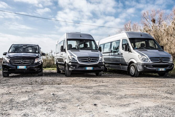 Weekly tours - Unpacking the Tour: What You Can Expect