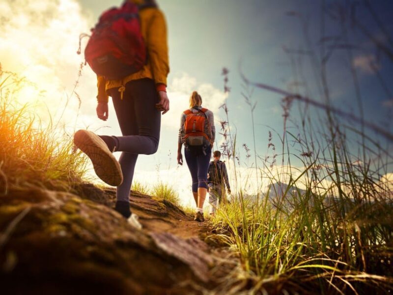 Weimar: AdventureDate, walk with quiz and dinner for couples - The Sum Up