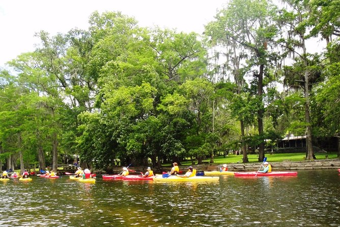 Wekiva River Guided Kayak Tour - Reviews and Testimonials