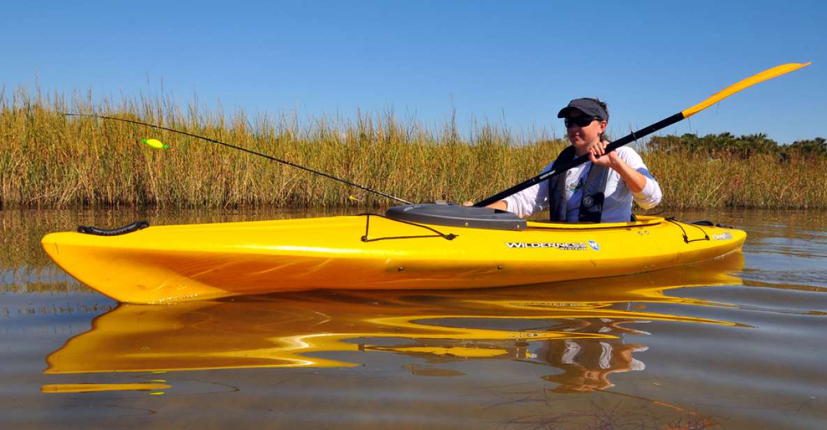 Wekiva River Kayak Full-Day Trip - Wildlife Viewing Opportunities