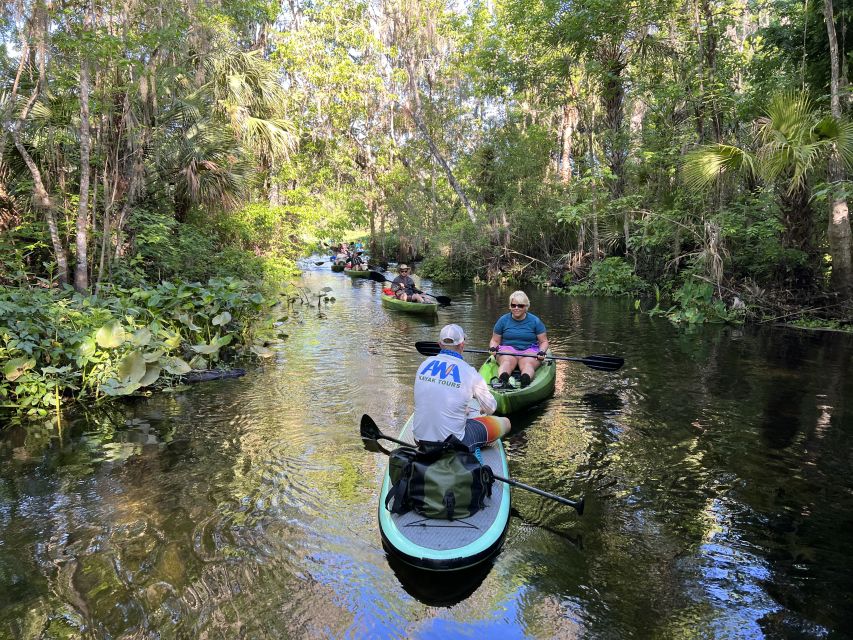 Wekiva Wildlife Kayaking Adventure Tour - Scenic Wekiva River