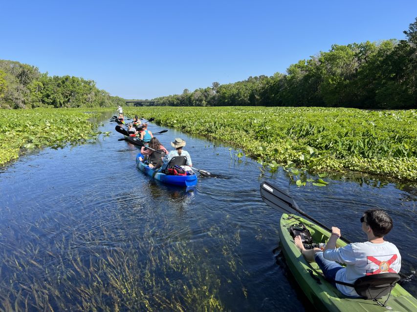 Wekiva Wildlife Kayaking Adventure Tour - Booking Information