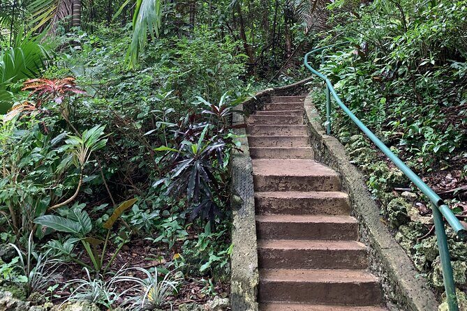 Welchman Hall Gully, Huntes Garden and Peg Farm Family Day - Value and Price