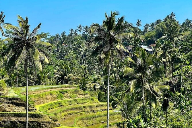 Welcome Pickups Bali Transfer - Booking Your Transfer