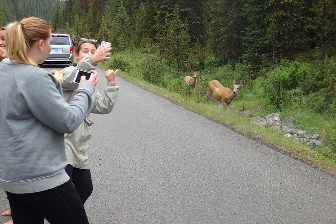 Welcome To Camping At Algonquin Park (2 Day) - What to Expect and Why It Matters