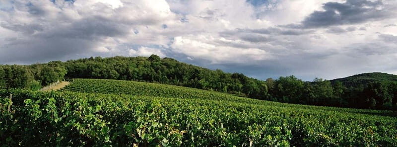Welcome to Casale del Bosco - Final Thoughts: Why Choose This Experience?