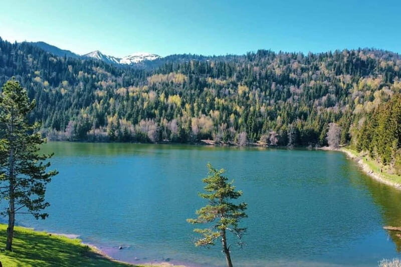 welcome to georgia discover together - Practical Tips for Your Trip