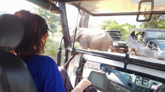 Weligama to Udawalawa National Park Safari - Frequently Asked Questions