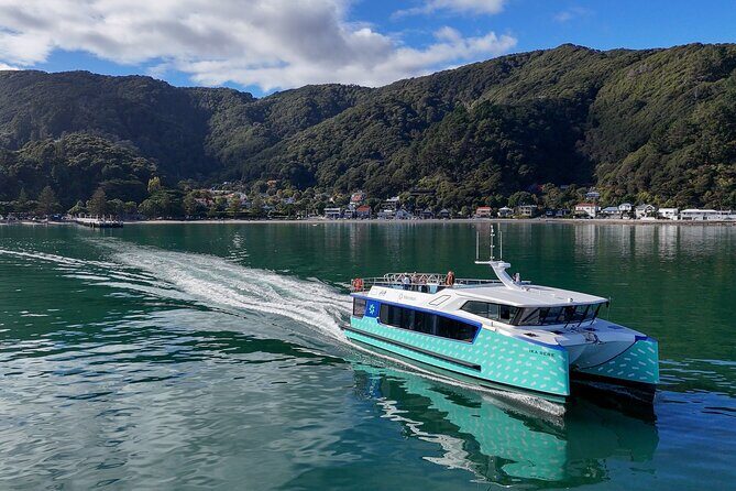 Wellington 90 minute Harbour Cruise - Key Points