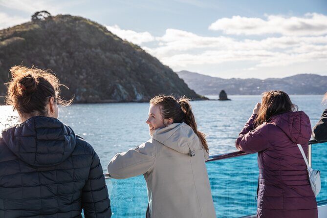 Wellington 90 minute Harbour Cruise - What Travelers Are Saying: Authentic Perspectives