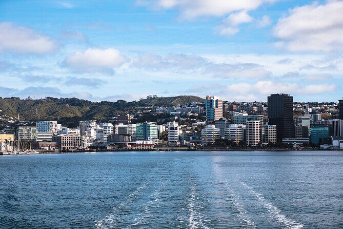 Wellington 90 minute Harbour Cruise - Why It’s a Good Deal: Value and Accessibility