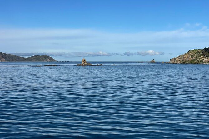 Wellington 90 minute Harbour Cruise - Who Should Consider This Tour?