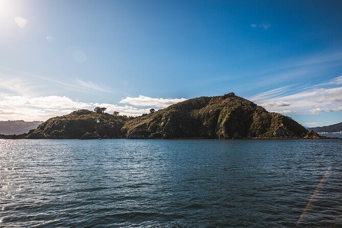 Wellington 90 minute Harbour Cruise - Final Thoughts: The Value of a Calm, Informative Harbour Tour
