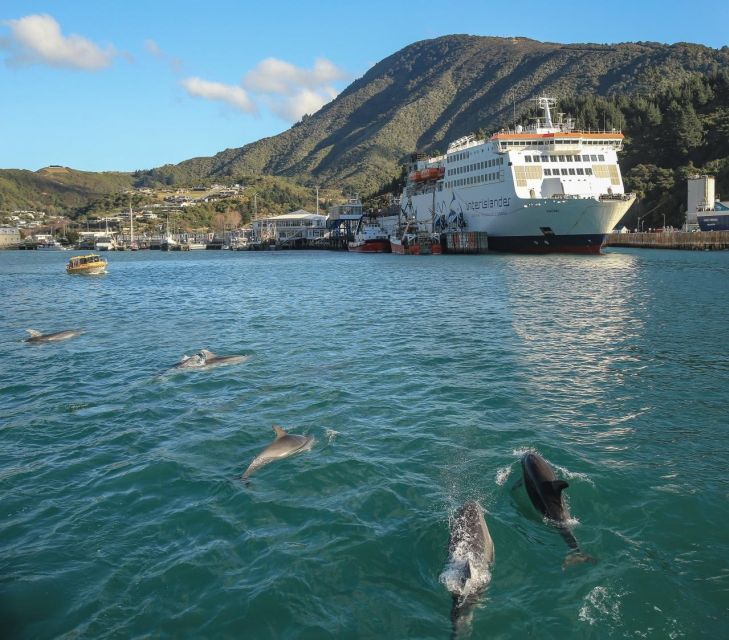 Wellington and Picton: Interislander Ferry - Onboard Facilities and Amenities
