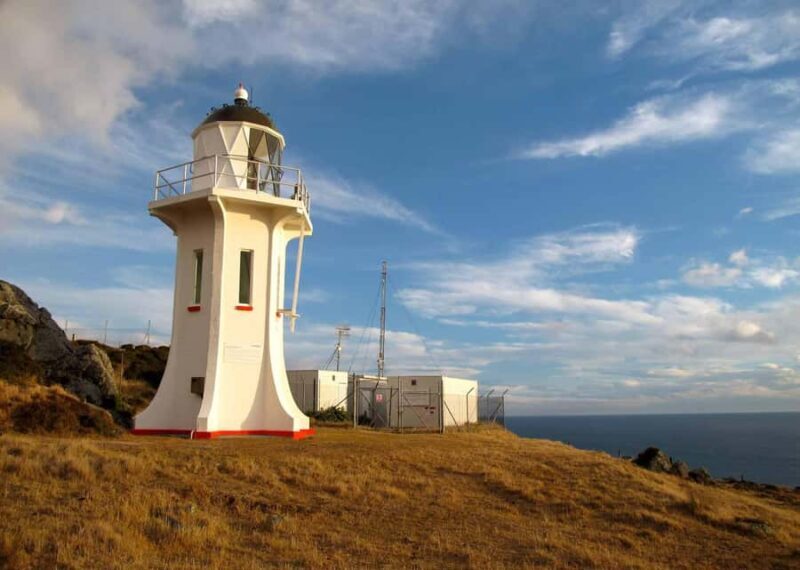 Wellington: Baring Head Lighthouse Walk - An Authentic Look at the Wellington: Baring Head Lighthouse Walk