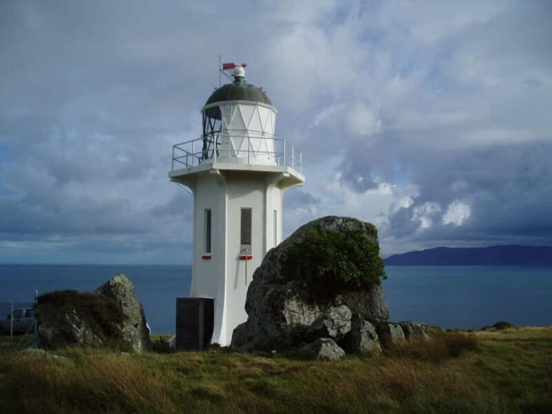 Wellington: Baring Head Lighthouse Walk - Who Is This Tour Best For?