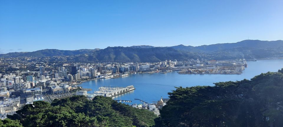 Wellington: Cave to Coast Highlights Guided Tour - Frequently Asked Questions