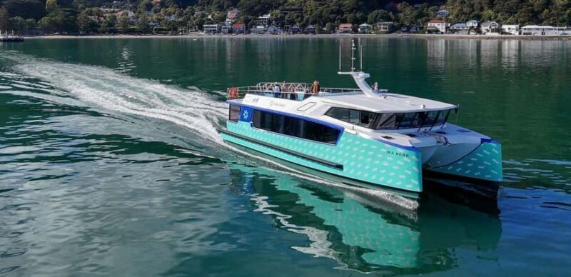 Wellington: Commentated Harbour Explorer tour - A Deep Dive into the Wellington Harbour Experience