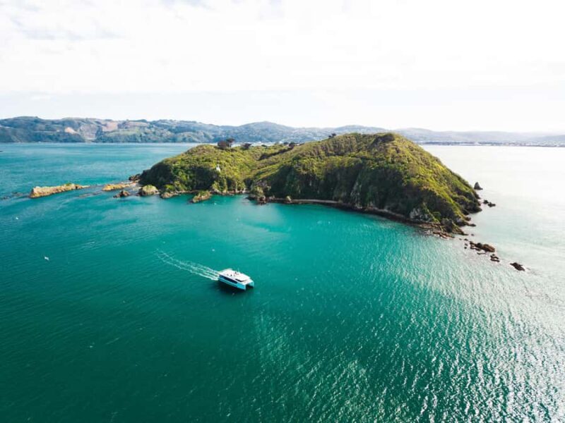 Wellington: Commentated Harbour Explorer tour - The Sum Up: Who Will Love This Tour?