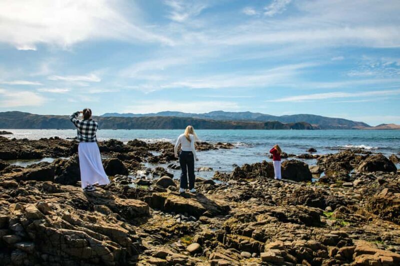 Wellington: Guided City Tour with Cable Car Ticket - Key Points