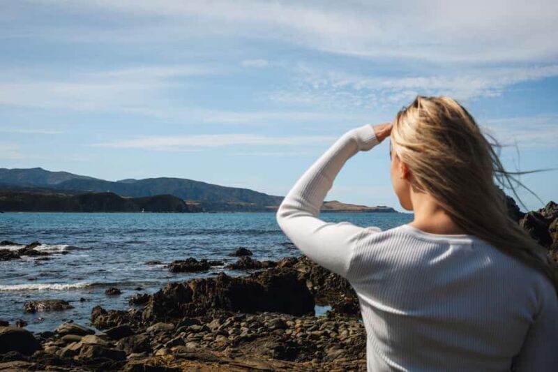 Wellington: Guided City Tour with Cable Car Ticket - An In-Depth Look at the Wellington Guided City Tour