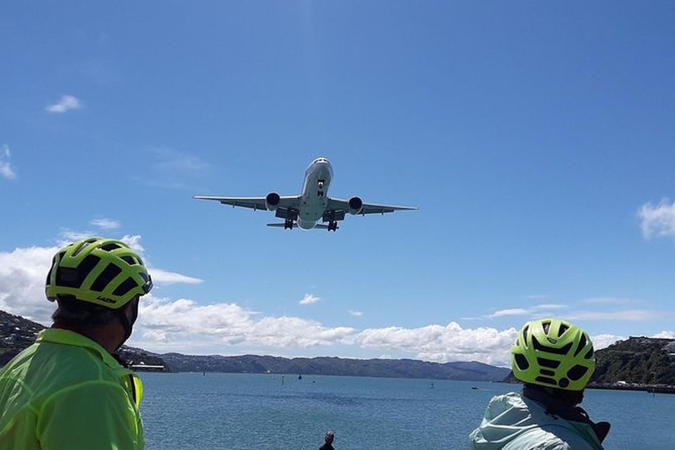 Wellington: Guided Sightseeing Tour by Electric Bike - Key Points