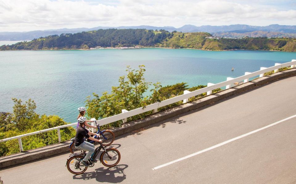 Wellington: Guided Sightseeing Tour by Electric Bike - Important Information