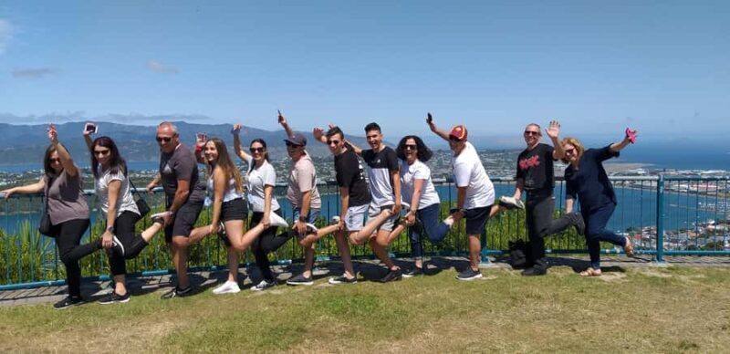 Wellington: Half-Day City Highlights Tour and Cable Car Ride - The Practical Side: What You Need to Know