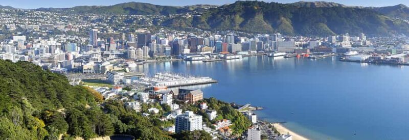 Wellington: Highlights Tour with a Local Guide - Key Points