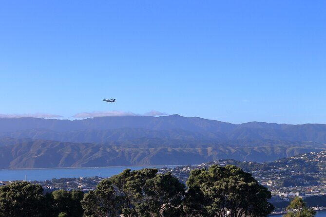 Wellington Hiking Tour: Climb & Unwind Experience - What You Can Expect from a Typical Day on the Trail