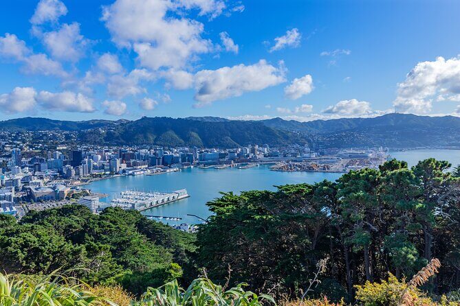 Wellington Hiking Tour: Climb & Unwind Experience - Final Thoughts
