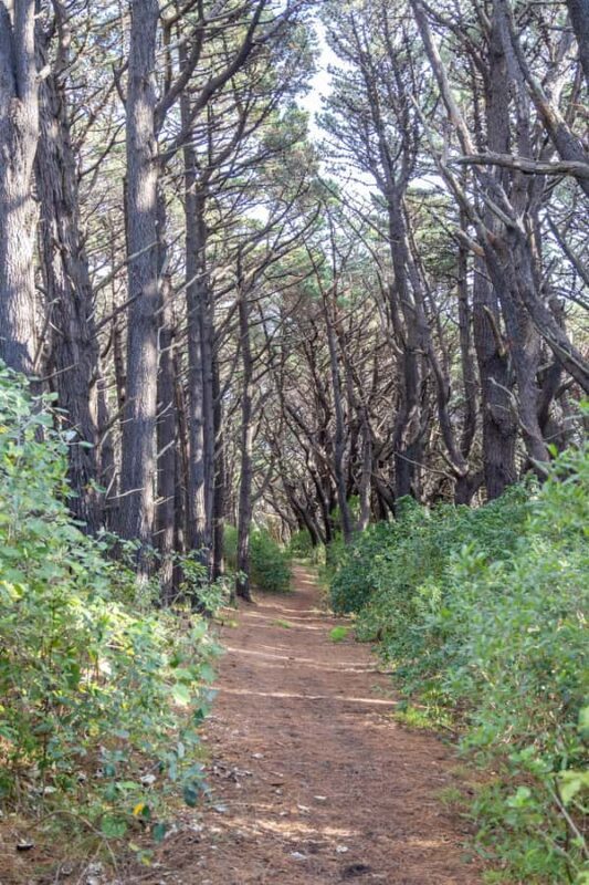 Wellington: Lord of the Rings Half-Day Guided Tour inc Weta - FAQs