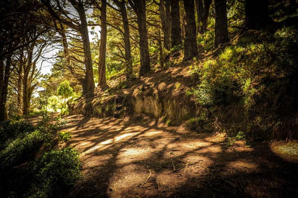Wellington: Lord of the Rings Tour With Weta Workshop - Customer Reviews