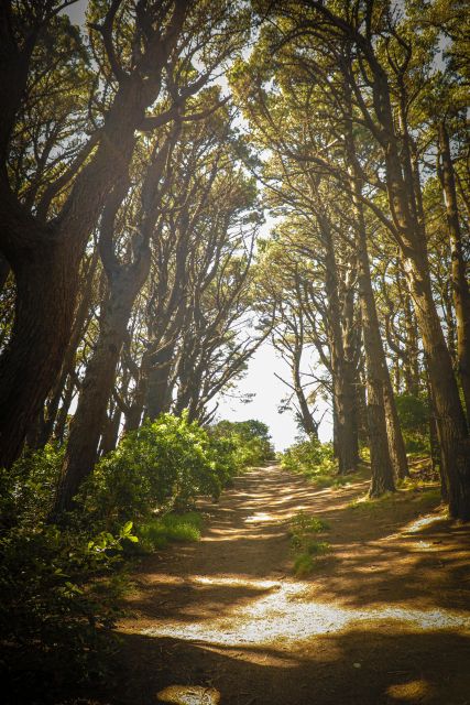 Wellington: Lord of the Rings Tour With Weta Workshop - Important Information