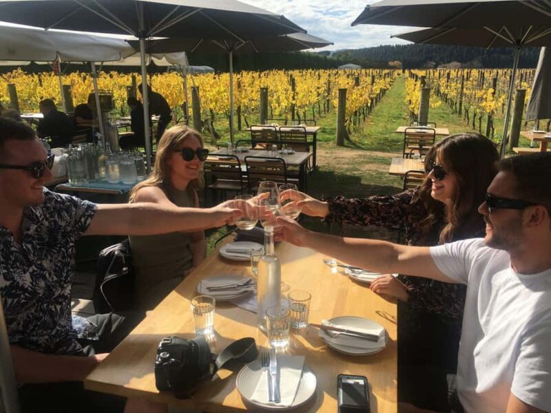 Wellington: Martinborough Private Winery Tour with Lunch - Introduction: Why This Tour Can Elevate Your Wellington Stay
