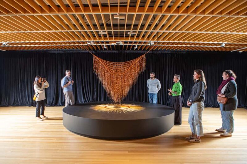 Wellington: Museum of NZ General Admission - An Introduction to the Experience