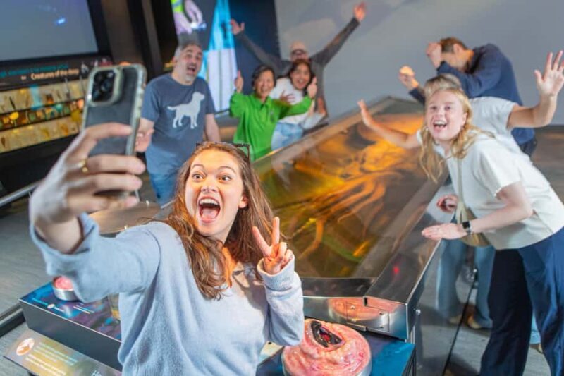 Wellington: Museum of NZ General Admission - Guided Tours and Exhibits