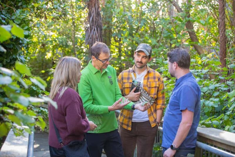 Wellington: Museum of NZ General Admission - The Experience: What It Feels Like