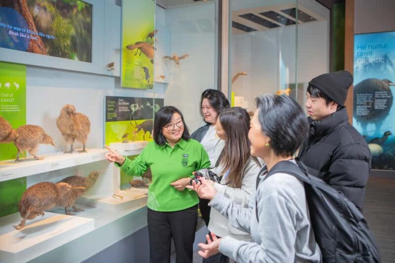 Wellington: Museum of NZ Intro Tour & General Admission - An In-Depth Look: What to Expect from This Tour