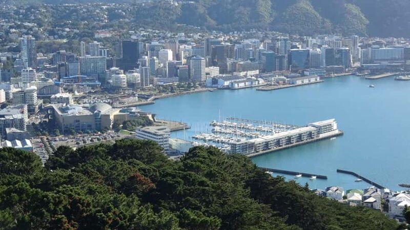 Wellington: Original LOTR Half-Day Experience with Weta - An Introduction to Wellington’s Middle-earth Magic