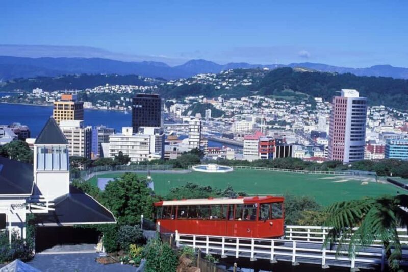 Wellington: Private custom tour with a local guide - Why a Private Guided Tour Works Well in Wellington
