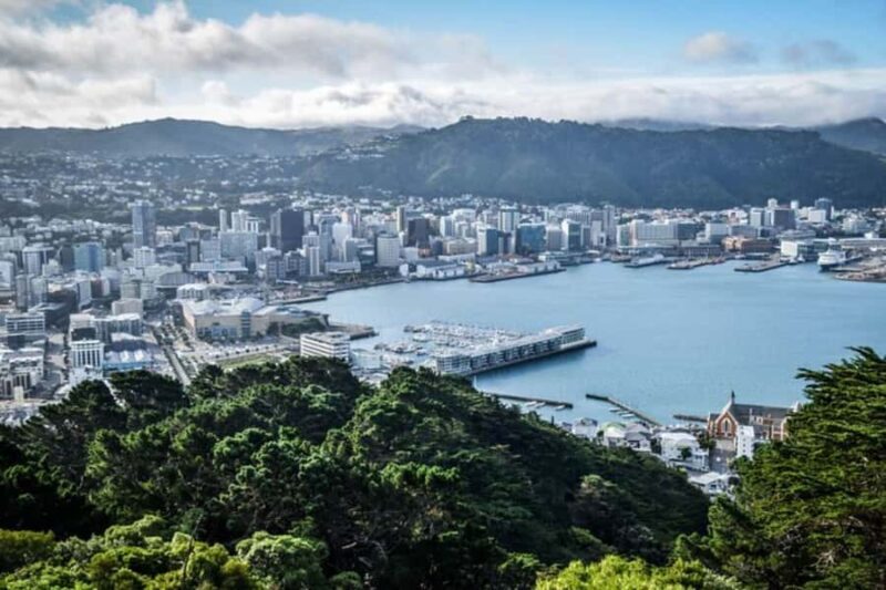 Wellington: Private custom tour with a local guide - What Travelers Say About Their Experience