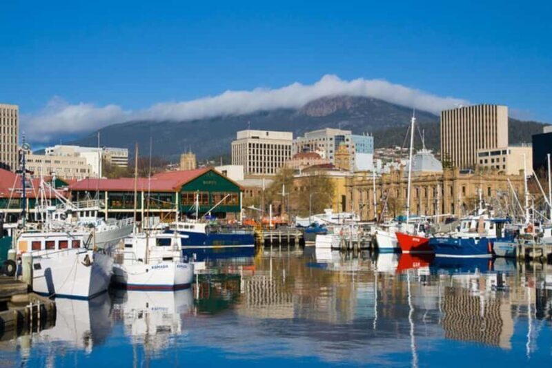 Wellington: Private custom tour with a local guide - Who Will Appreciate This Tour Most?